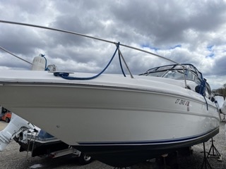 Power boats For Sale in Connecticut by owner | 1995 29 foot Sea Ray Sundancer